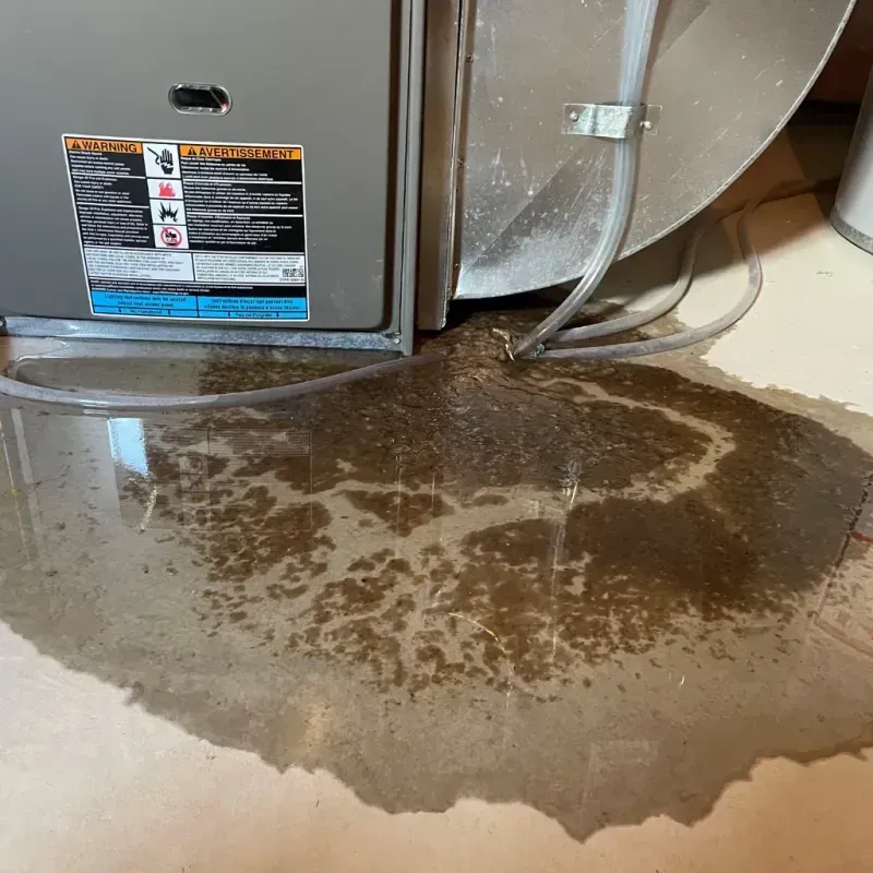 Appliance Leak Cleanup in Nodaway County, MO